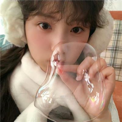 大鸟和小鸟